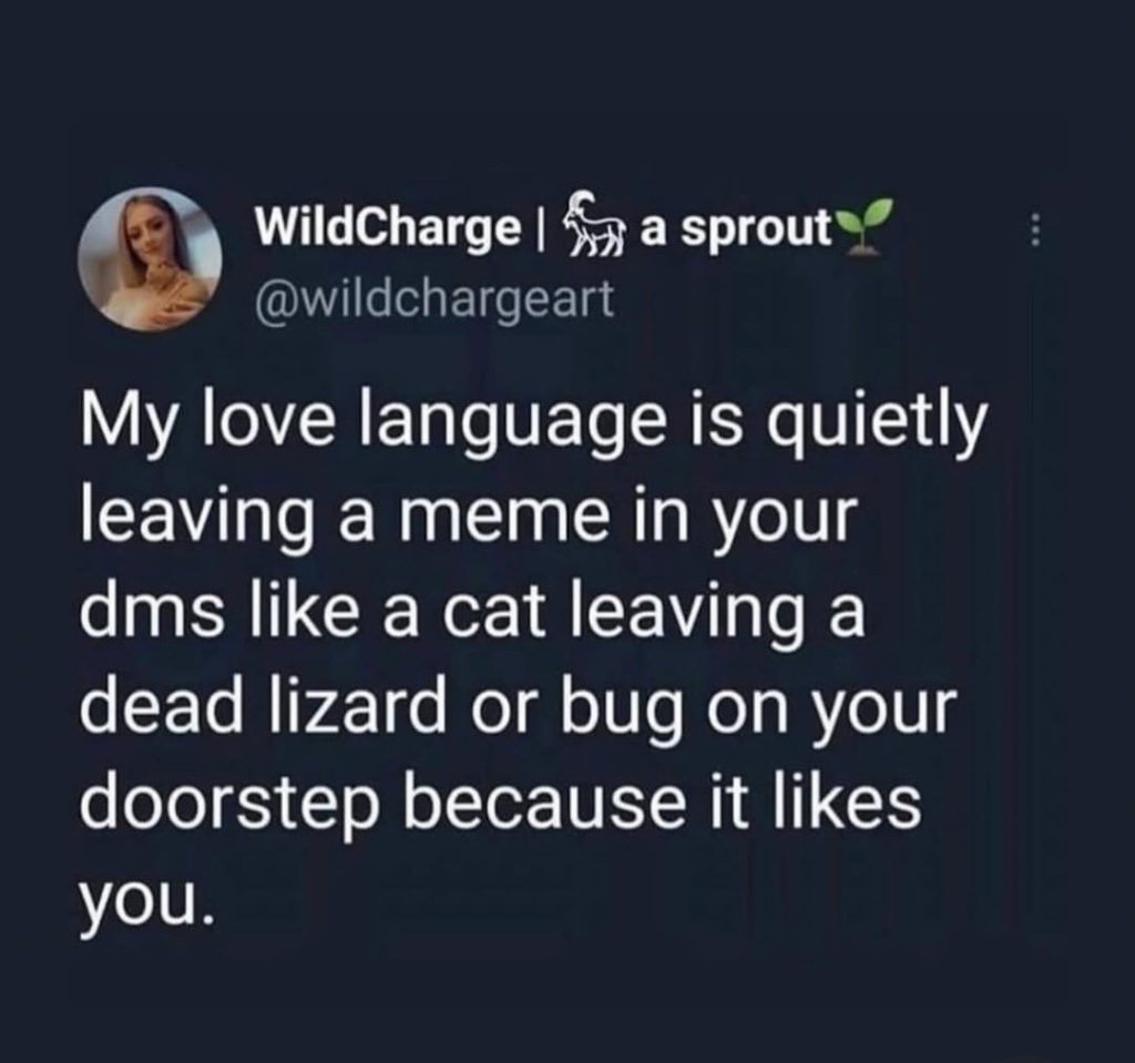 My love language | ToasterBotnet Shitpostblog